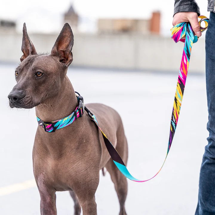 Fuzzy Tails Collar