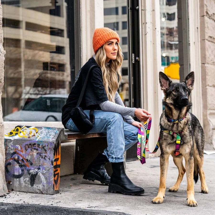 Retrofit Leash