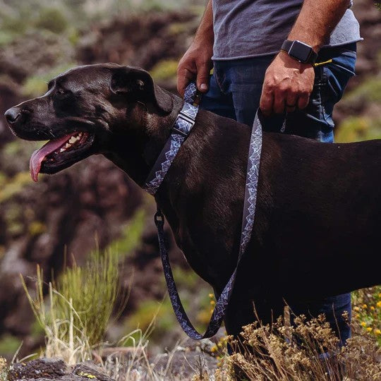 Wolf Mountain Leash