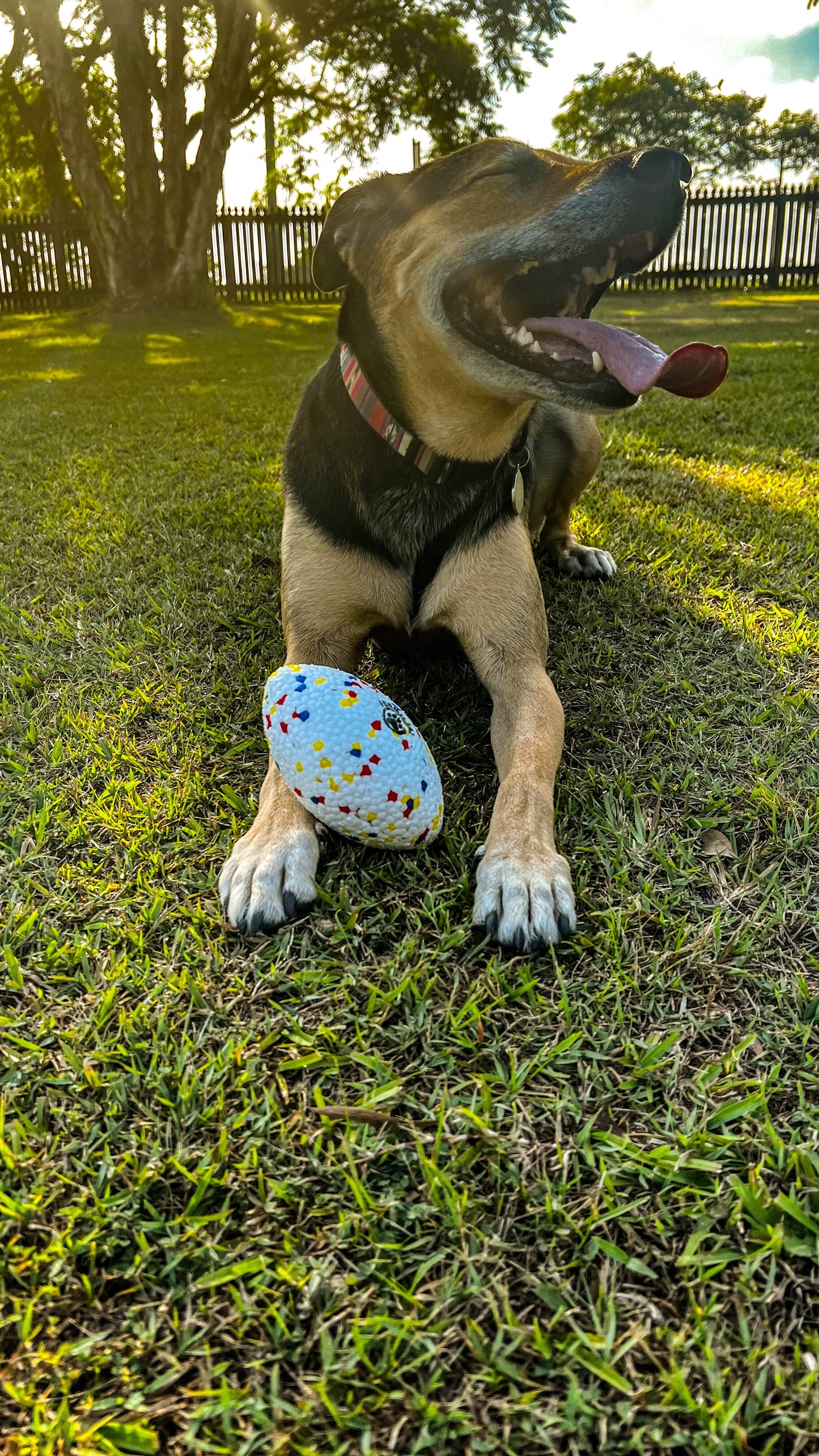 Furmilial Wonder Footy