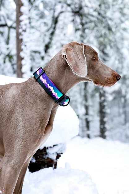 Aurora Purple Collar