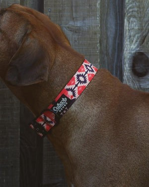 Aztec Trail Hound Collar