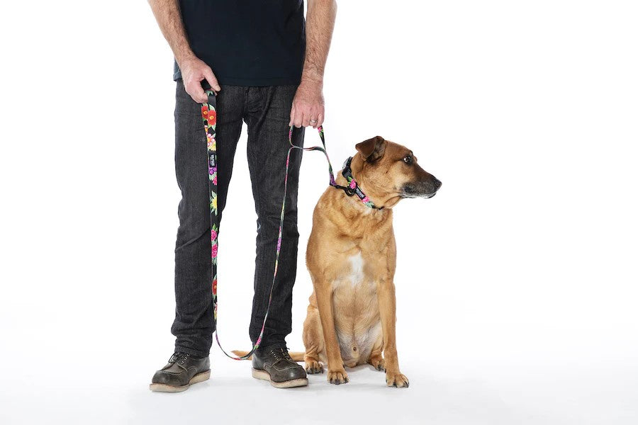 Dark Floral Dual Handle React Leash