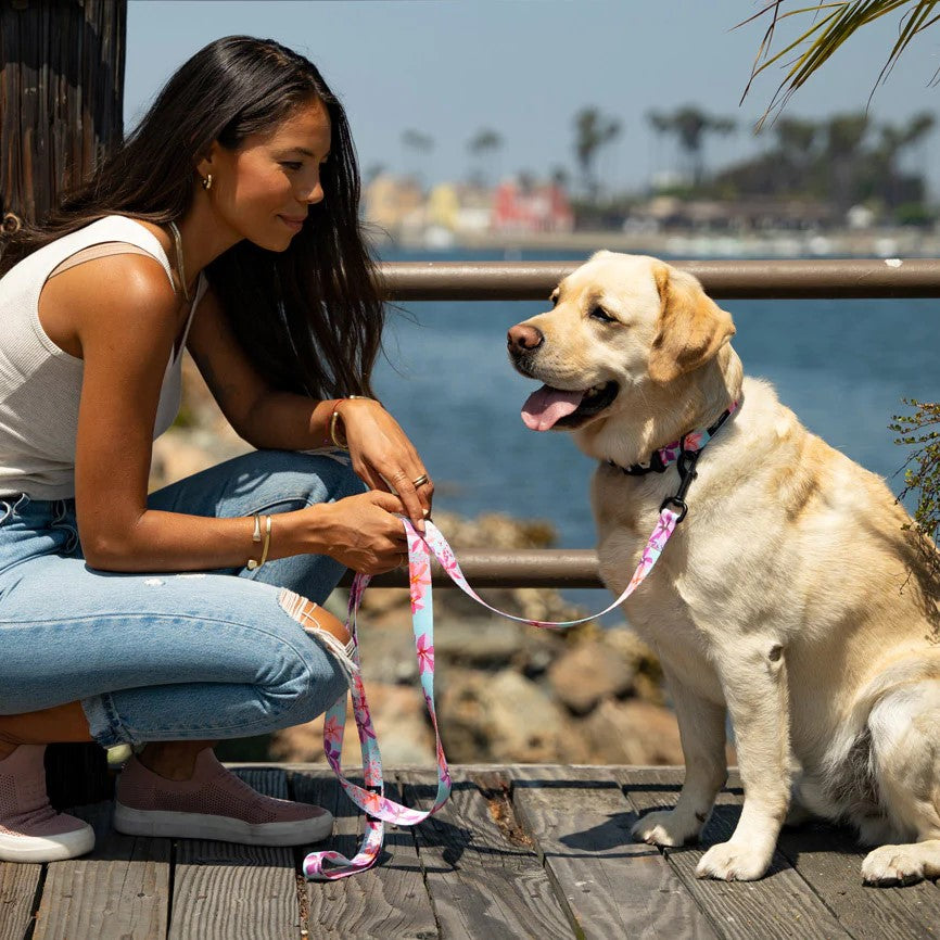 Digifloral Dual Handle React Leash