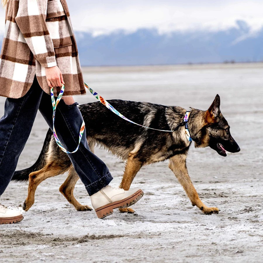 Feathered Friend Dual Handle React Leash