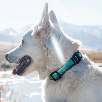 Great Escape Collar