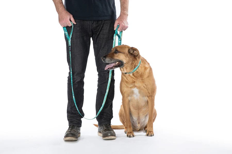 Great Escape Dual Handle React Leash