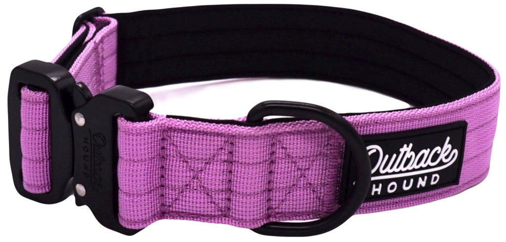 Lilac Premium Collar