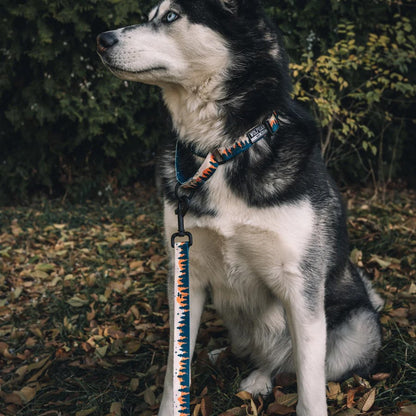 Overland Leash
