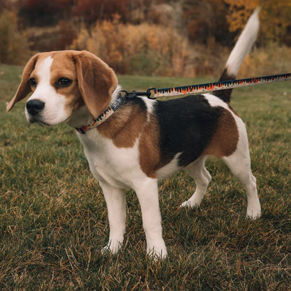 Overland Dual Handle React Leash