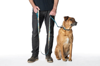 Overland Dual Handle React Leash