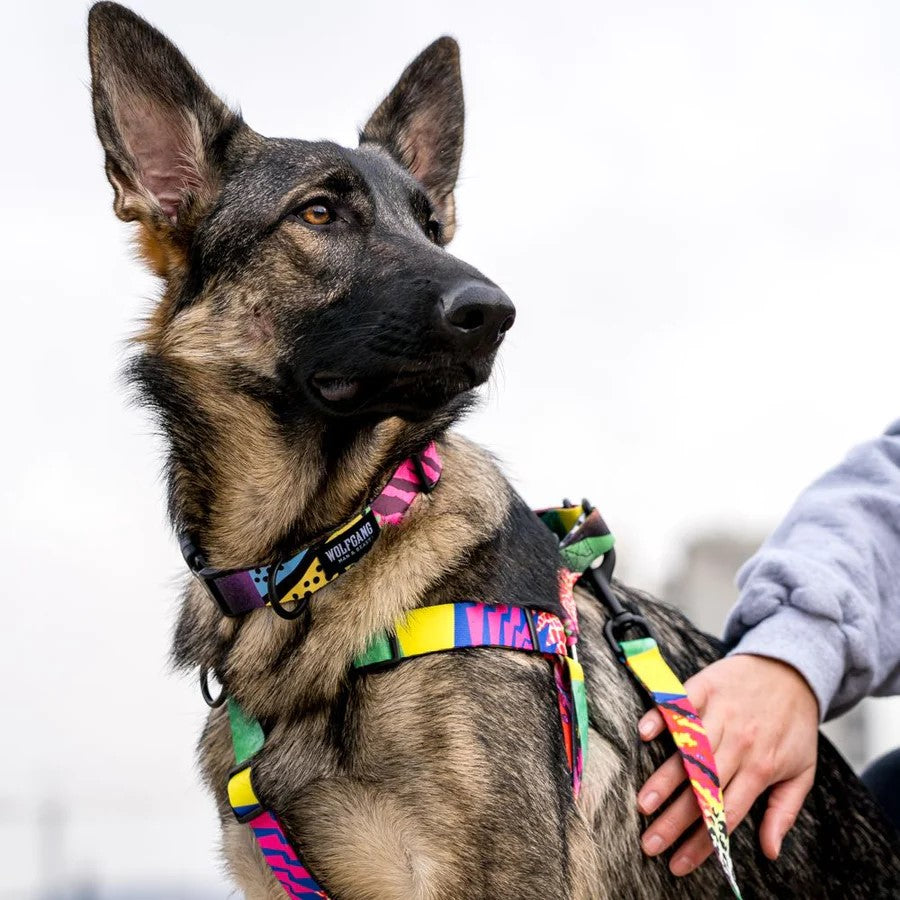 Retrofit Collar