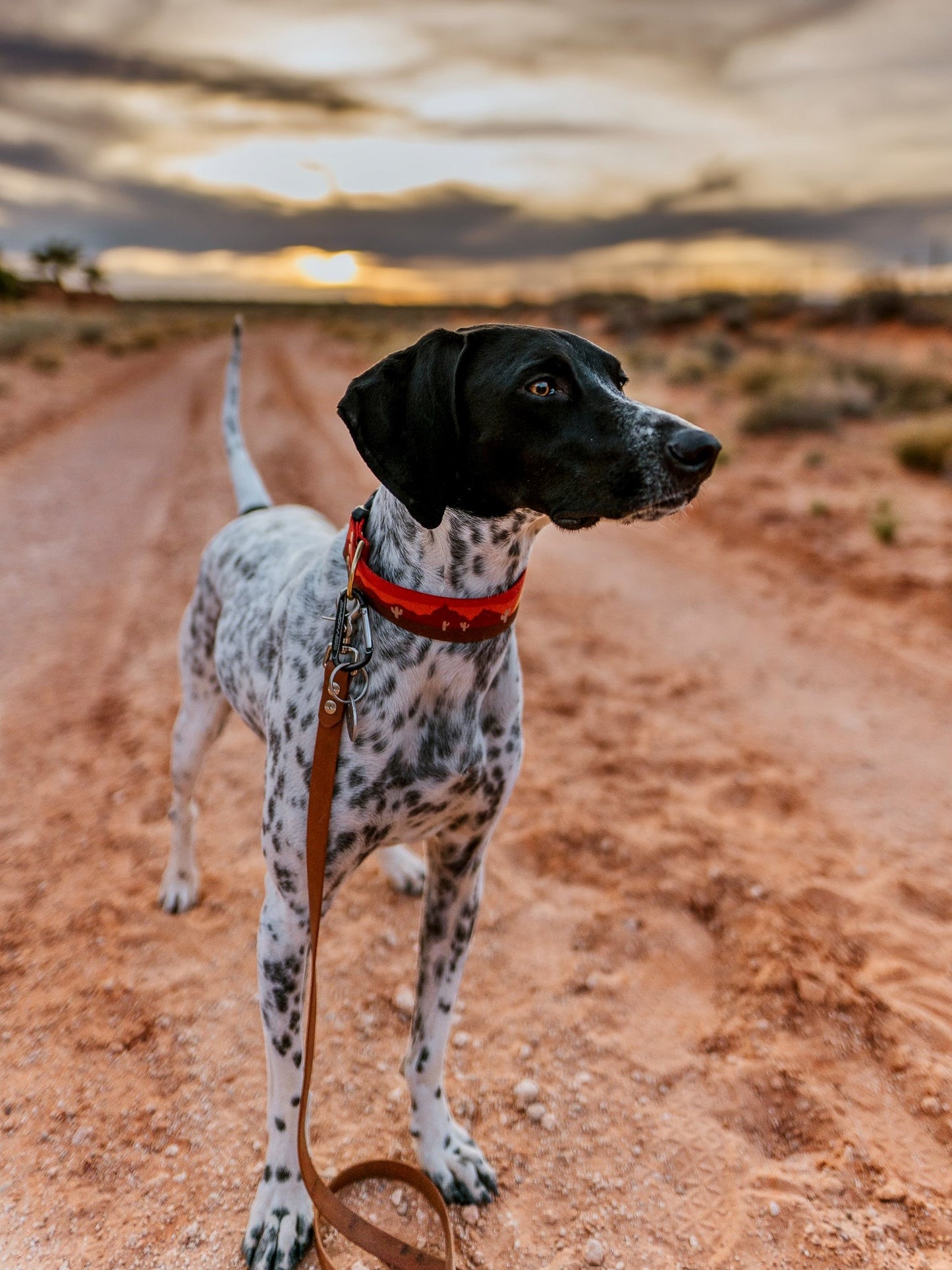 Sedona Collar