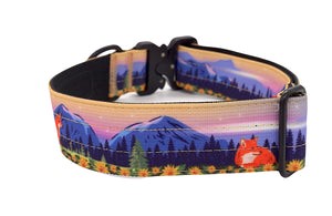 Spring Fox Trail Hound Collar