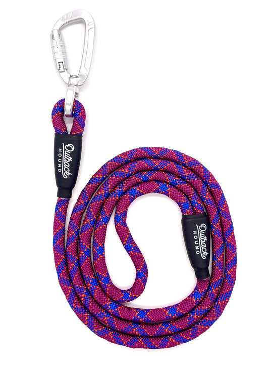 Swivel All Terrain Dog Leash | Purple