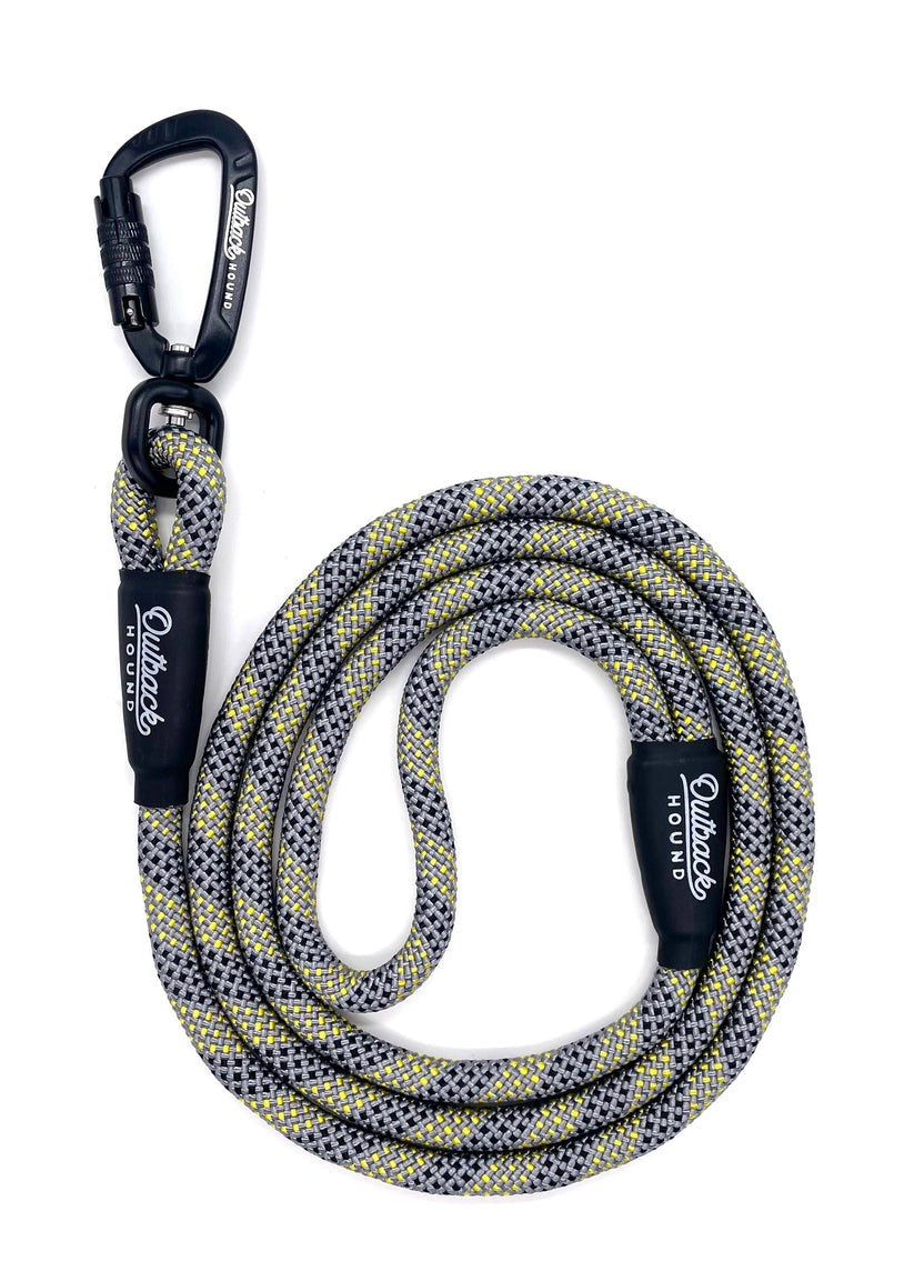 Swivel All Terrain Dog Leash | Silver