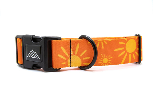 Tangerine Suns Collar