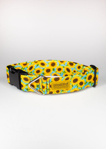 Goober Dog Collars